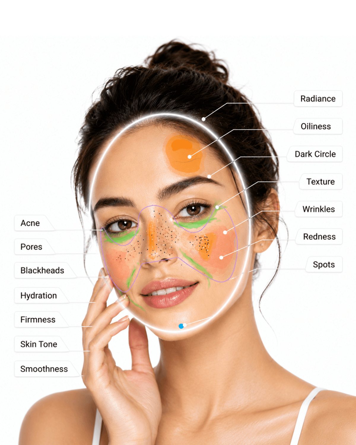 Biface Skin Analysis Model